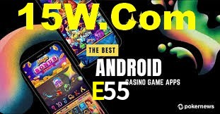 E55