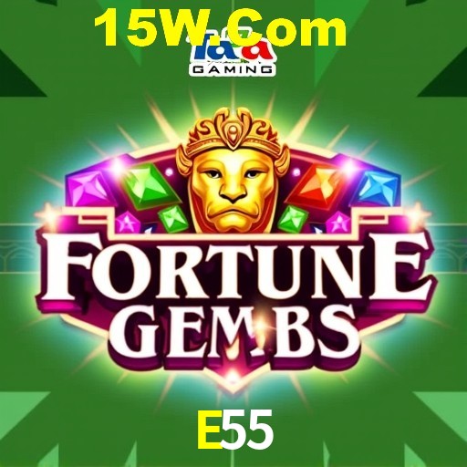 Bonus Features E55