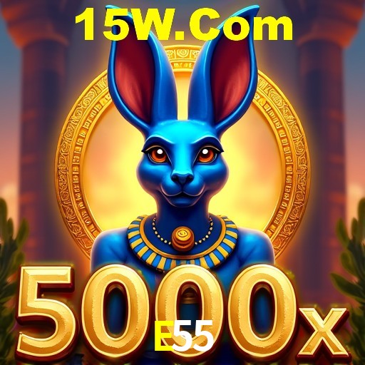 Login Seguro E55